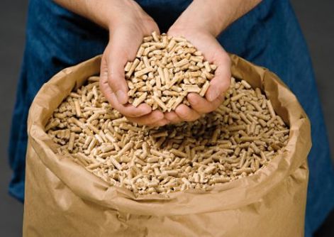 pellet.jpg