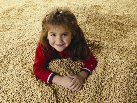 pellets-sn.jpg